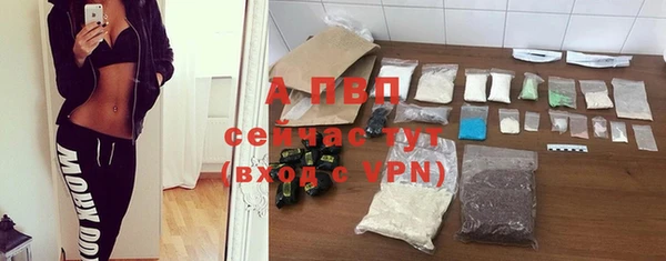 PSILOCYBIN Бородино