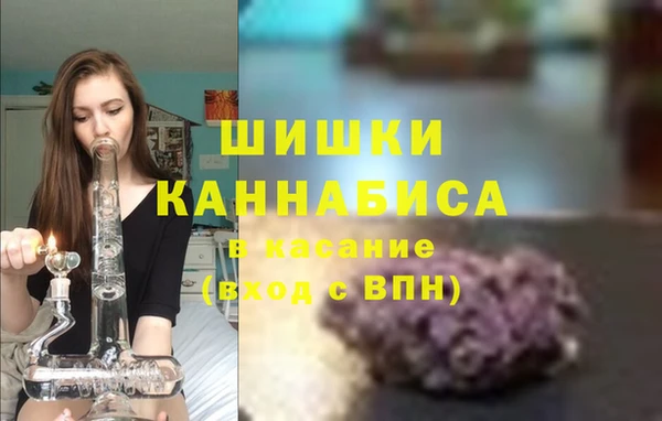 PSILOCYBIN Бородино