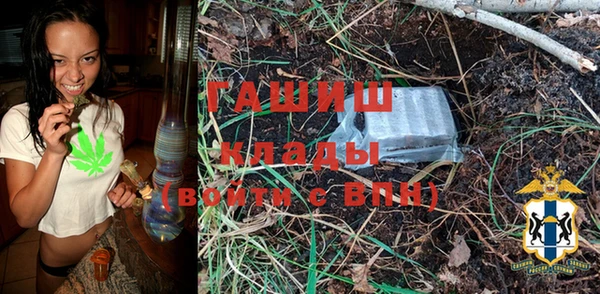 хмурый Сосновка