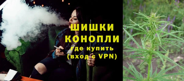 PSILOCYBIN Бородино