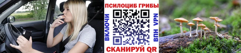 Псилоцибиновые грибы мицелий  Сосногорск 